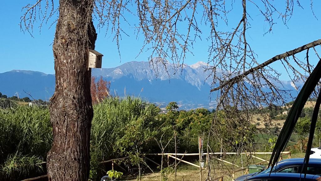 B&B L'Albero Di Antonia Atri Eksteriør bilde