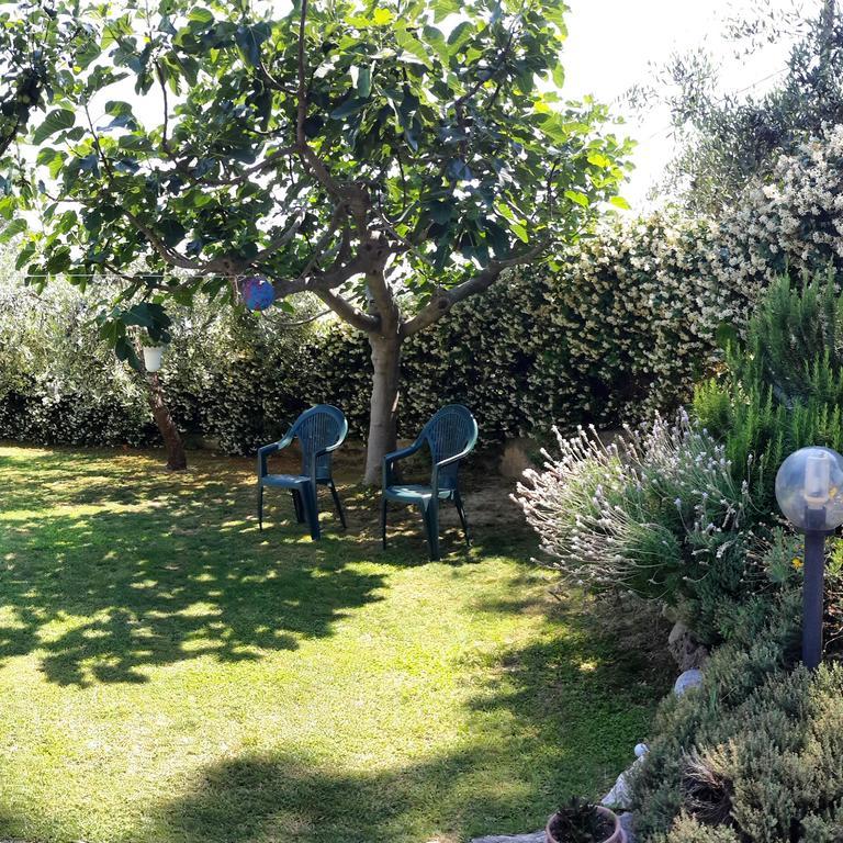 B&B L'Albero Di Antonia Atri Eksteriør bilde